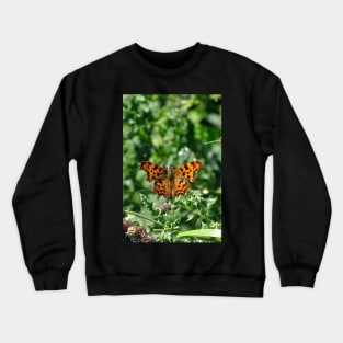 Comma Butterfly Crewneck Sweatshirt